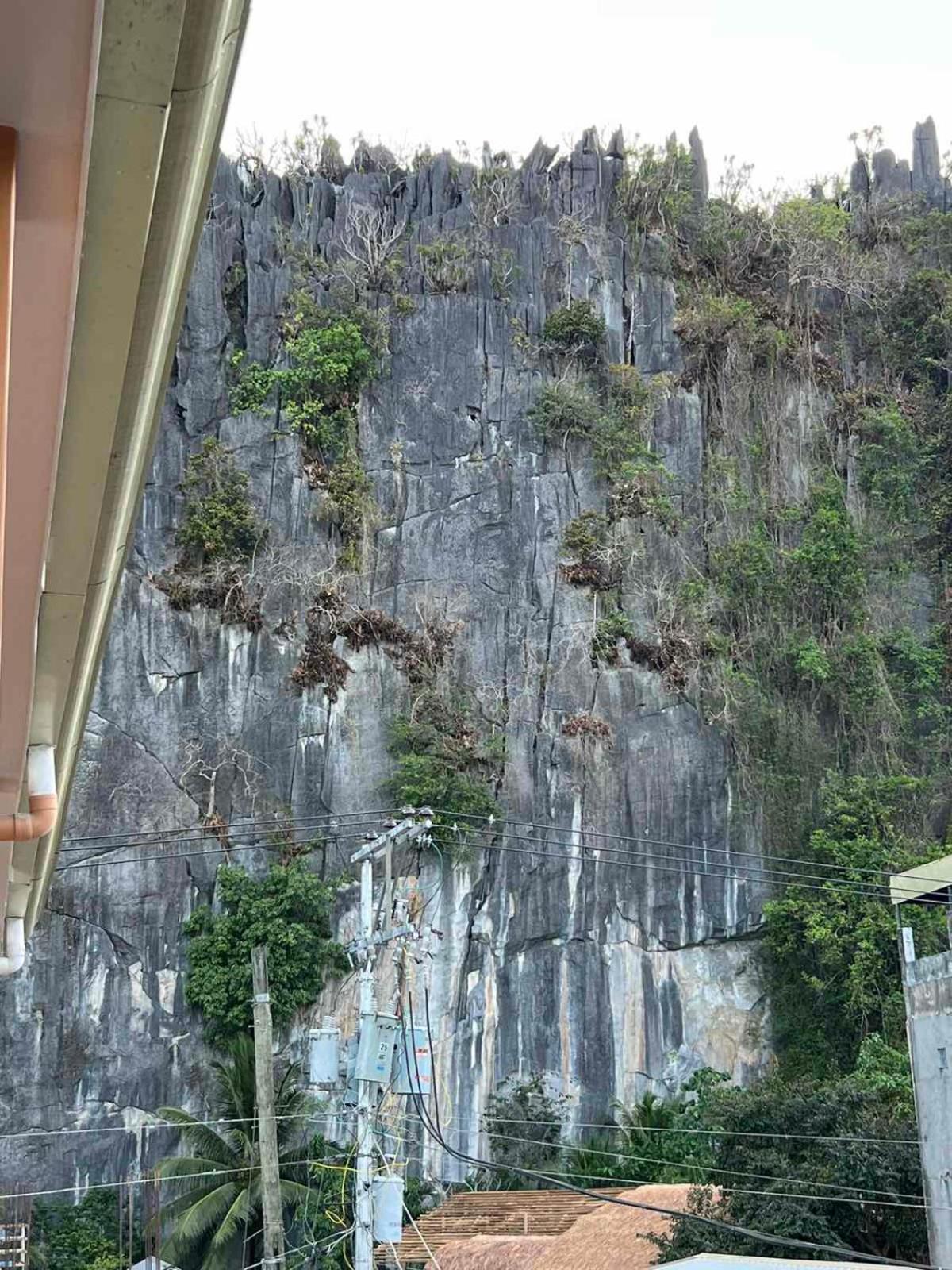 Vencejos Inn - El Nido Buitenkant foto